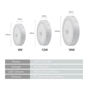 Surface Mounted Motion Sensor Ceiling Light
